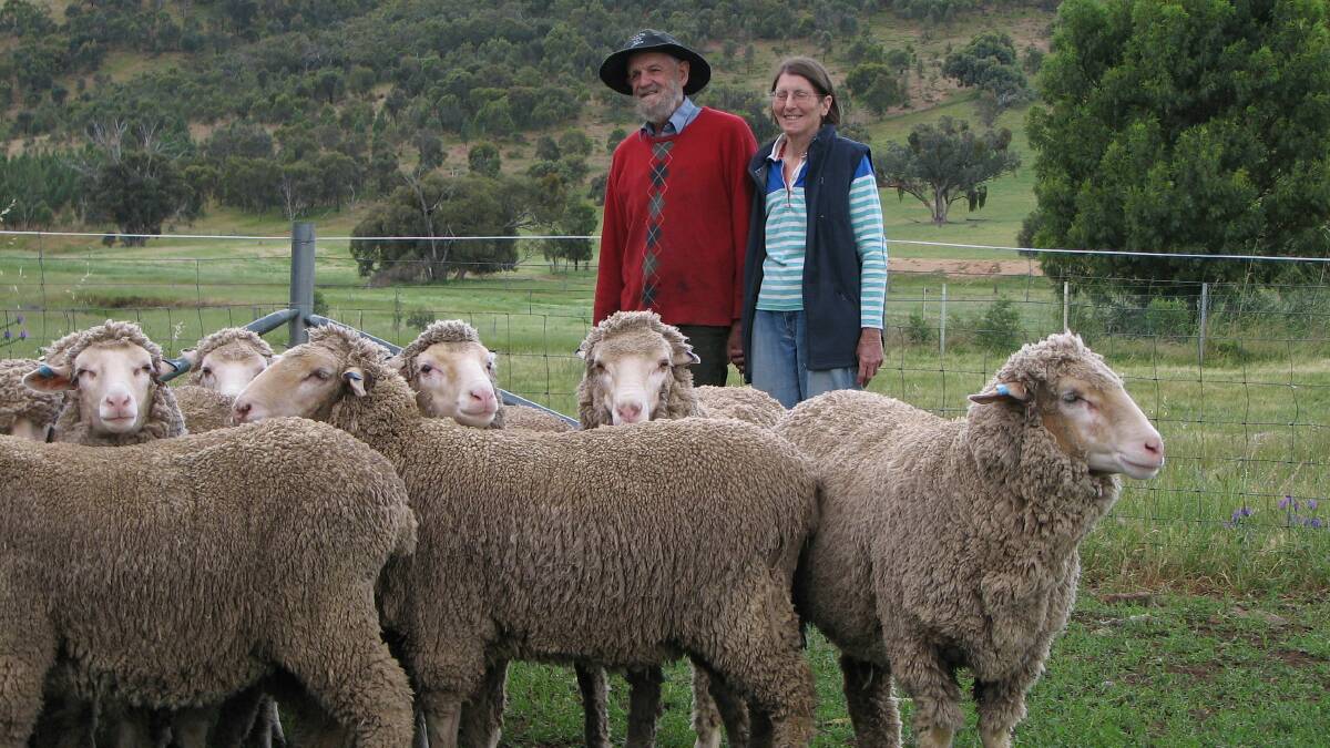 The Reads, from "Oak Hills", Nangus, first approached Sheep CRC chief executive James Rowe two years ago at a producer field day with the idea of developing a DNA test to profile the genetic merit of a commercial ewe flock.
 