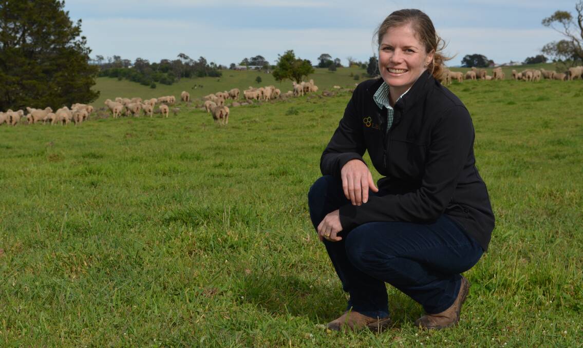 Livestock Biosecurity Network NSW regional manager, Rachel Gordon, strongly advises producers to refrain from purchasing new rams from saleyards where possible. 