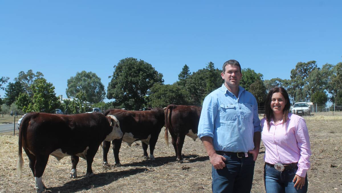 The McClure family, Mooree Partnership, Mooree, purchased four bulls to $13,000, av $7250. David McClure is with Alicia Trovatello, 16, from Glendan Park Hereford stud and some of the Hereford bulls the family bought.