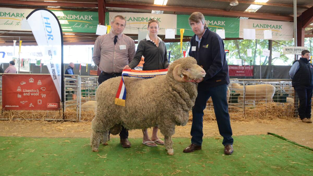 Judge, Tony Inder, Allendale stud, Wellington watches as Courtney Petrie, Mt Arrowsmith Station, Canterbury, NZ sashes the champion fine-medium wool Merino ram, shown and held by Garry Cox, Langdene stud, Dunedoo.