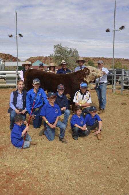 AUCTION TOPPER: Days Whiteface's Lachy Day, Bordertown, SA, holding the $8000 top-priced bull at the Alice Springs Show sale.