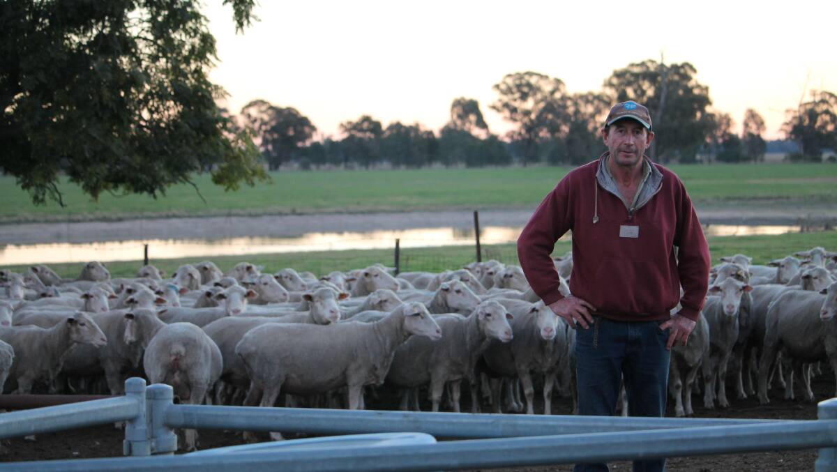 Kardinia: Don Mills at Kardinia Dohne stud, Coreen, with a number of lambs being born during the open day.