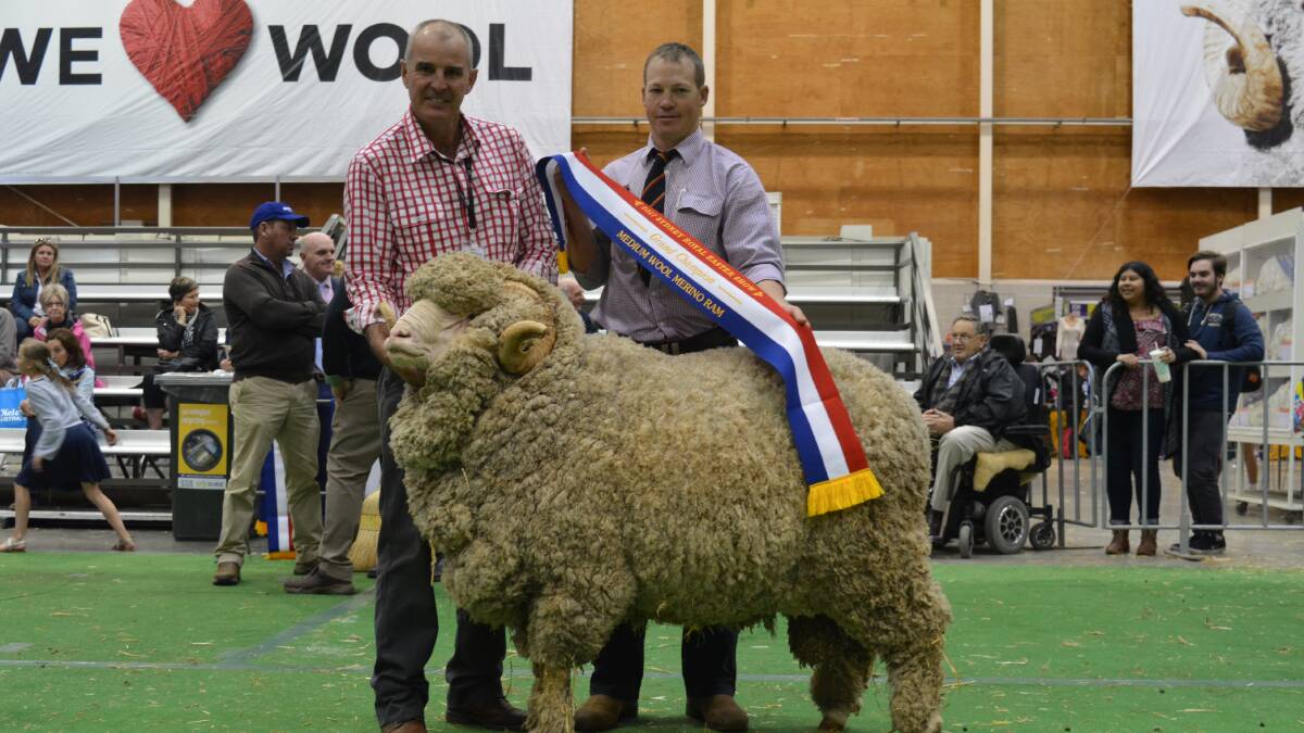 Garry Kopp, Towalba, Peak Hill, exhibited the grand champion strong wool Merino ram. He is being sashed by medium and strong wool judge, Tim Dalla, Collinsville stud, SA.