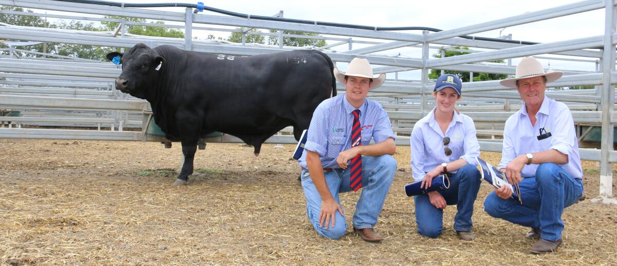 SALE-TOPPER: Jake Passfield, Hourn and Bishop, Queensland, with Bea Litchfield her father Jim Litchfield, Hazeldean and top-price Hazeldean SK034. 
