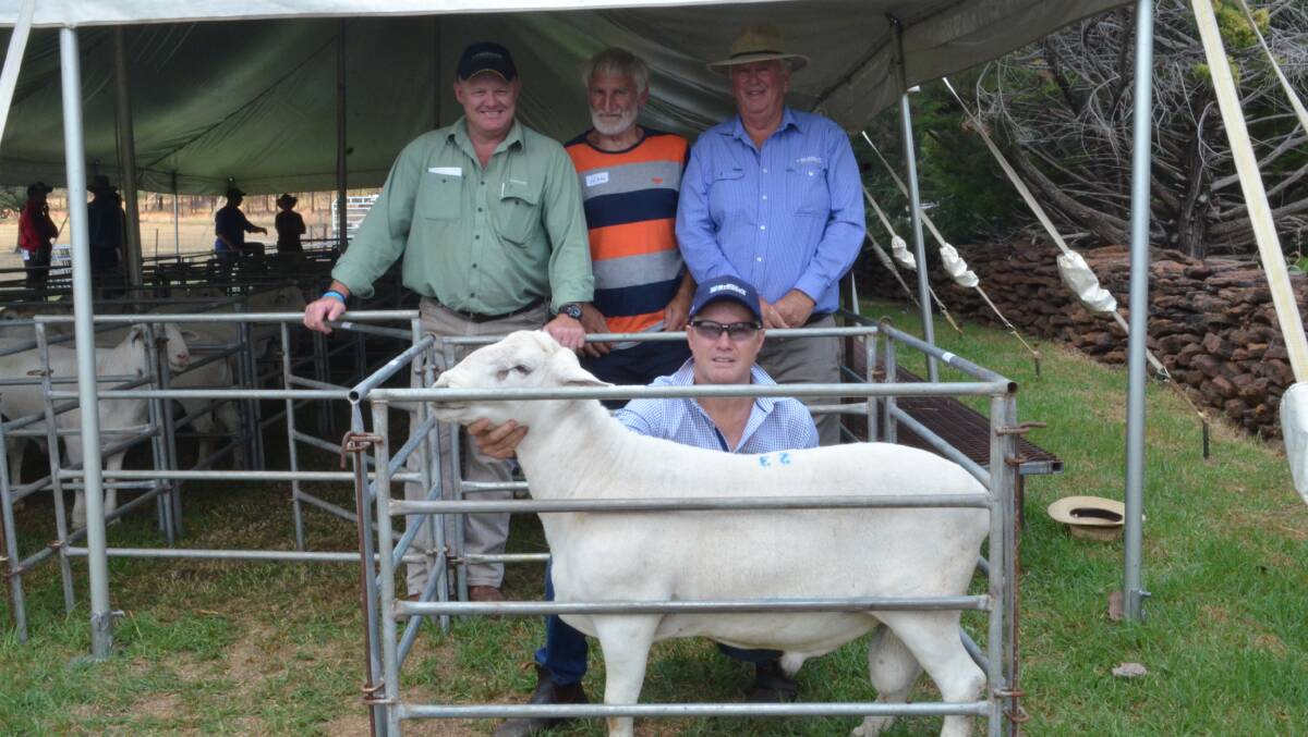 John Settree, Landmark stud stock, shared top bidder, Ivan Uebergang, John Franklin, Charles Stewart and Co., Vic and Pierre Bouwer, Highveld International with one of the rams that sold for $2800.
