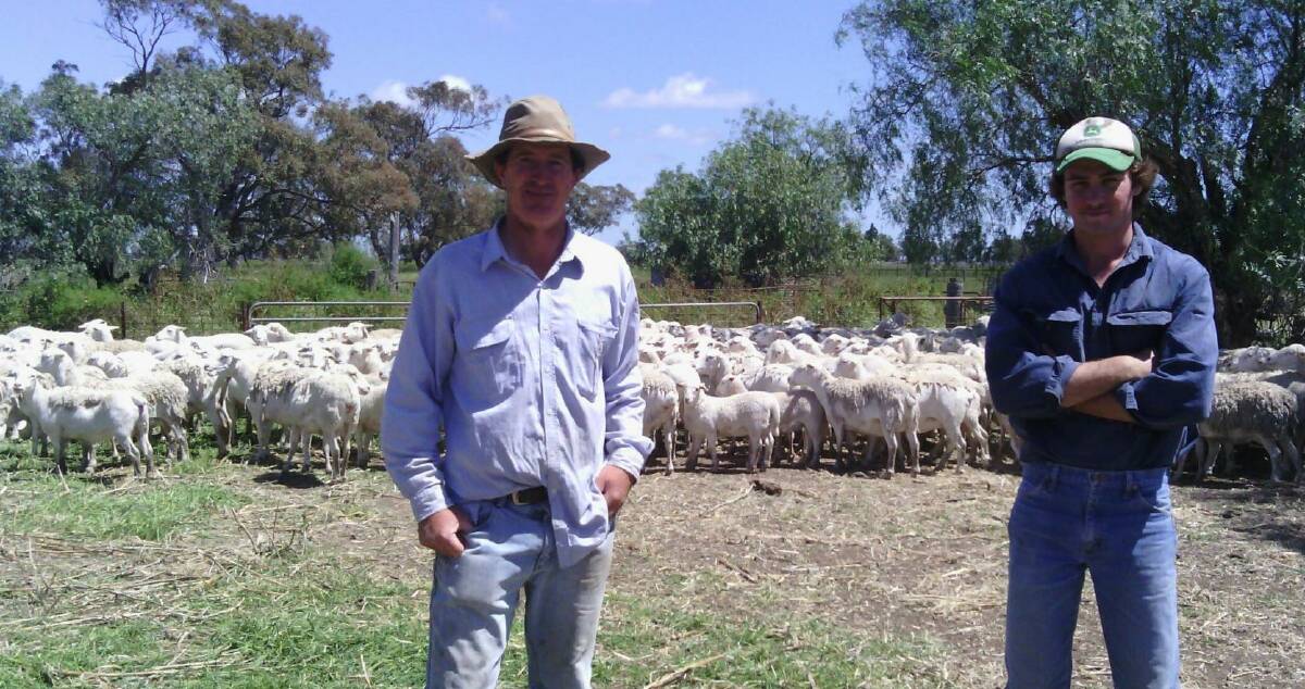Gulargambone producer Bill Charnley with Jake Proctor at, "Kindamindi". A double joining takes place yearly with ewes lambing down in March/April and September/October. 