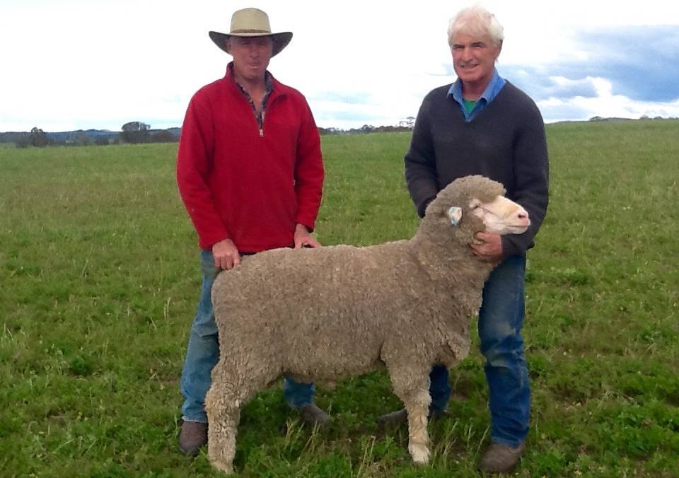 Andrew Leonard, Yass, with Frank Kaveney, Tallawong Merinos, Yass, and the top-price $4000 ram.
