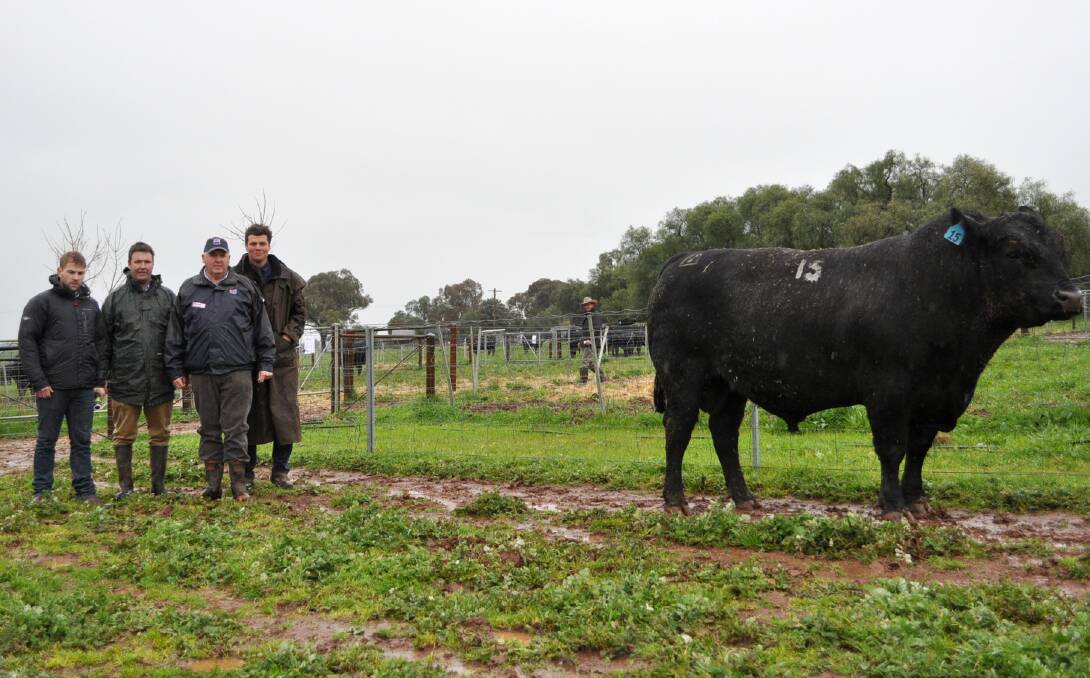 Sam Hayden, Buchan Station, Vic, Lachie Wilson, Winchelsea, Vic, ABS Australia Beef Product Manager Bill Cornell, and Milwillah’s Will Caldwell.