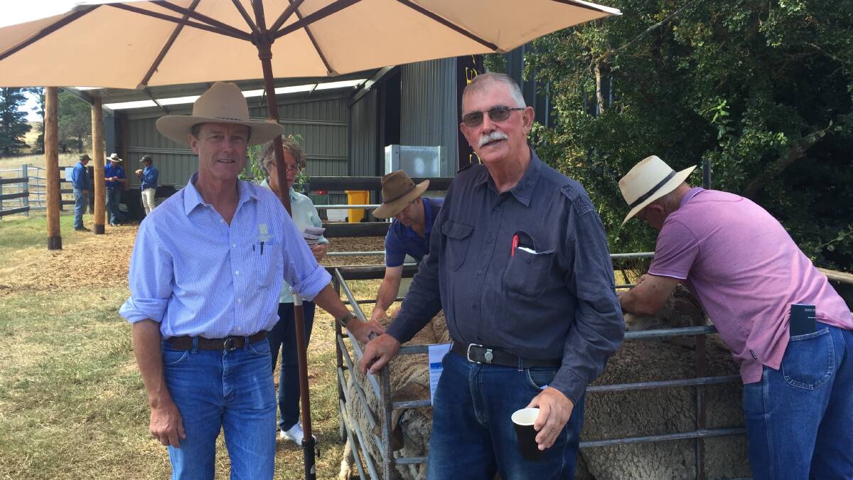 Jim Litchfield, Hazeldean Merino stud with long term client, Peter Hare, Cohuna, Victoria. Twenty five 'Best of the Best' rams sold to an average of $3227.