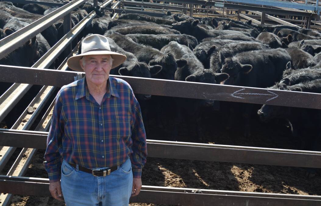 Neville Alcorn, "Lindenview", Harden, paid $1110 for a pen of 67 seven- to eight month-old Angus steer calves averaging 332 kilograms. Mr Alcorn also took home another 138 steers averaging 294kg for $1010.