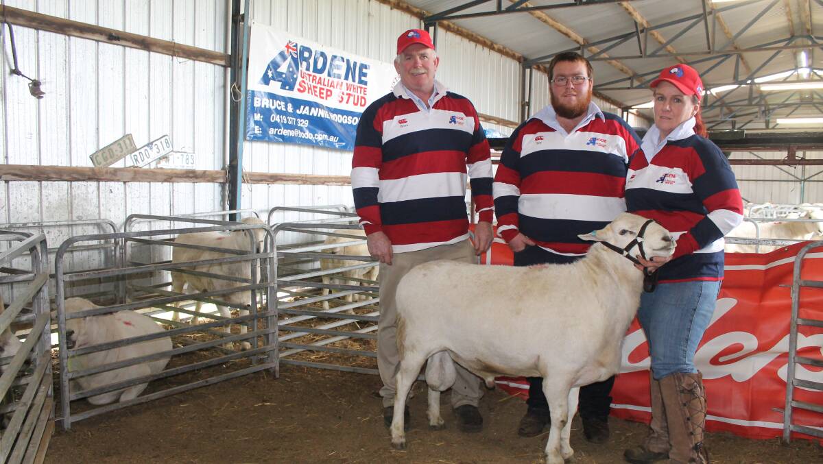 Ardene Australian Whites' Bruce, Roy and Jannie Hodgson with the top-priced stud ram at their sale last year. Bruce said they're excited to show more people the breed during Sheep Week, and will have rams, ewes and lambs on show.