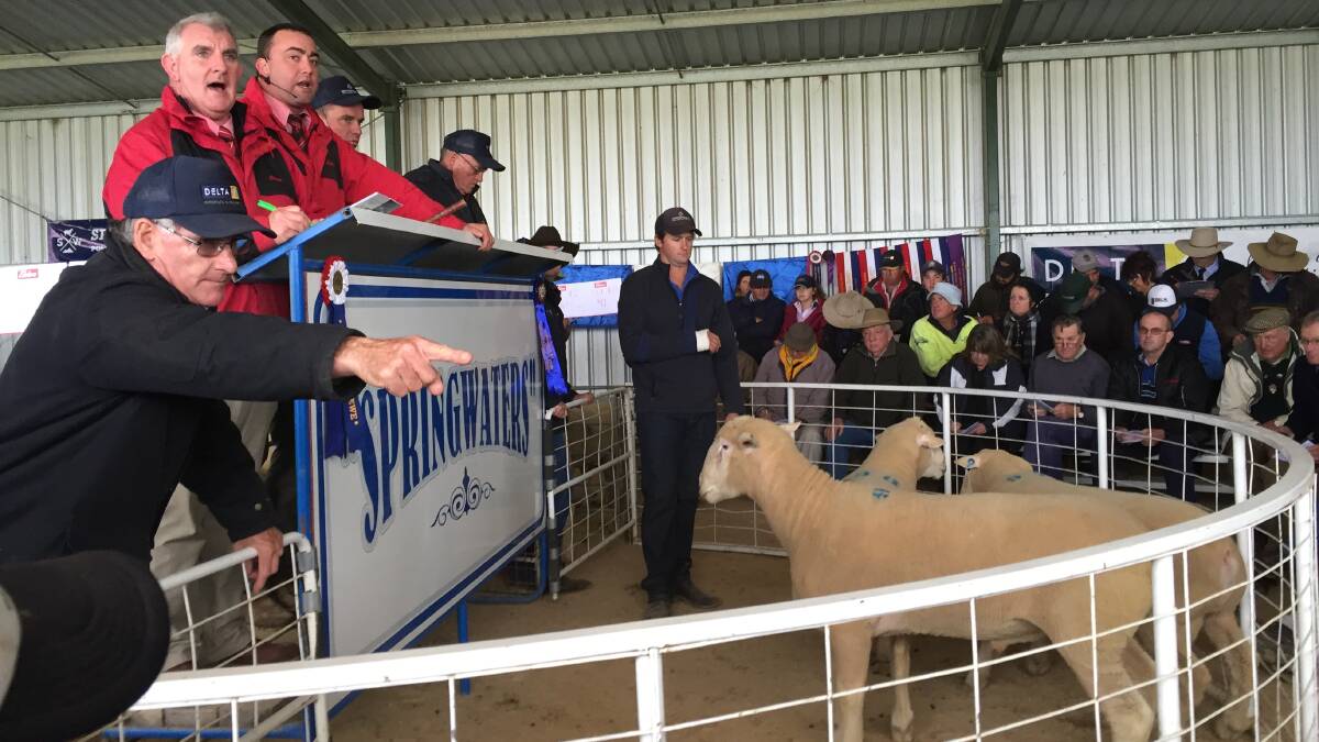 The Rowley family of Springwaters Poll Dorset stud, Boorowa, posted their best on-property sale result to date - selling all 162 rams offered to an average of $1820. 