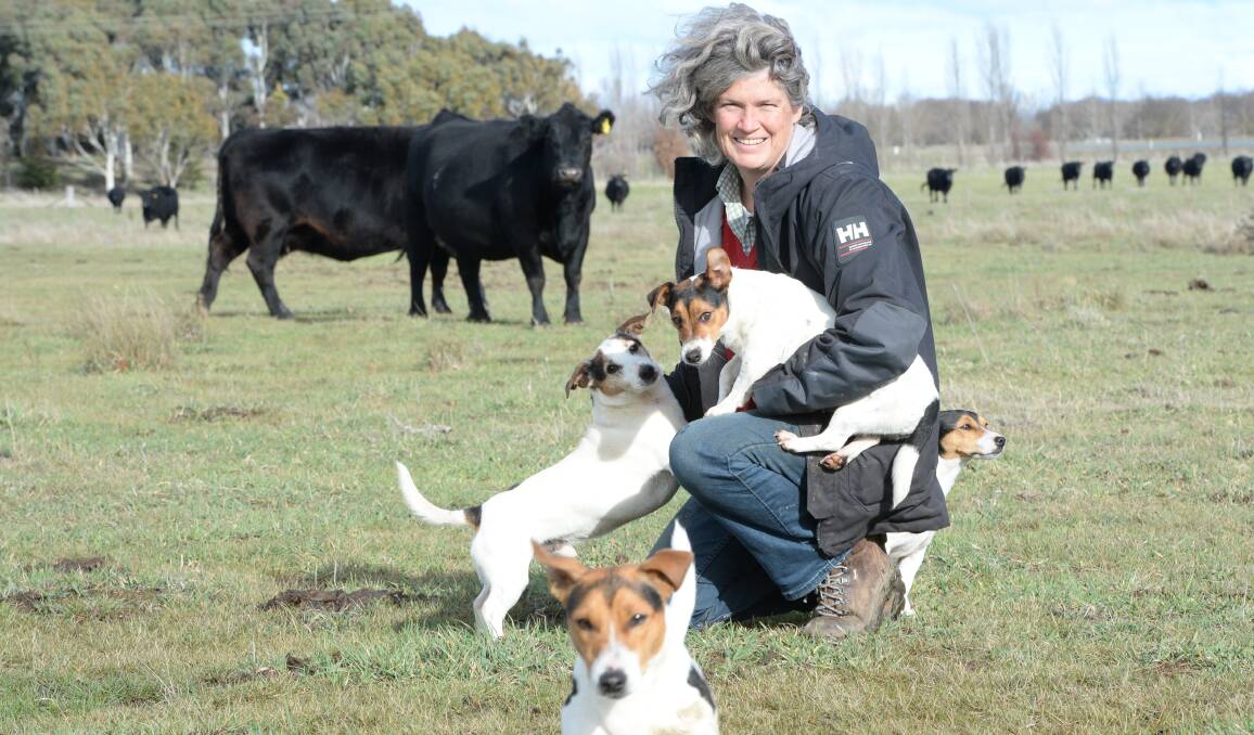Lindsay Davey at "Turalla", near Bungendore, loves working with cattle and says farming the grass is an important part of her management. 