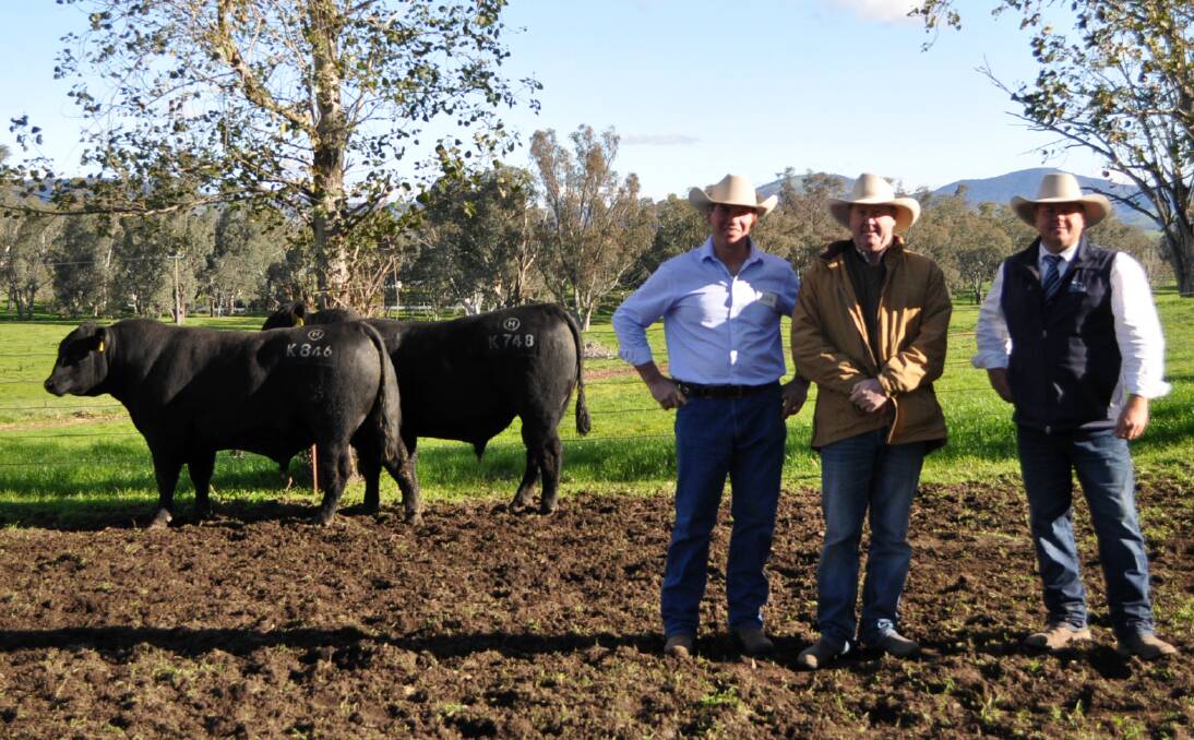Jock Harbison, Dunoon, with John Boddy, Woodside, Vic, who purchased two Dunoon Earnest E477 sons for $15,000 and $16,000, and auctioneer Michael Glasser, GTS.