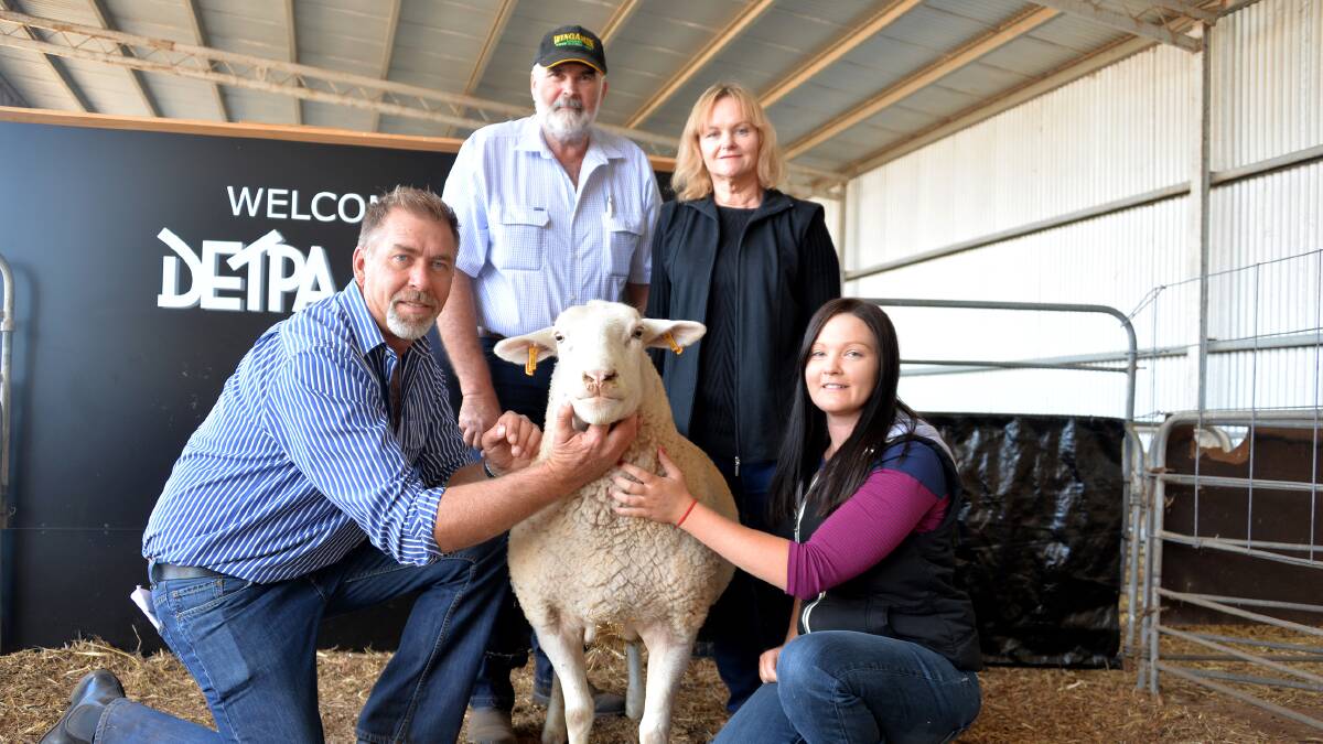 David Pipkorn, holds the $3600 equal top-priced ewe purchased by Clive, Deb and Caitlin Shillabeer, SA in partnership with Gary Heilig, USA.
