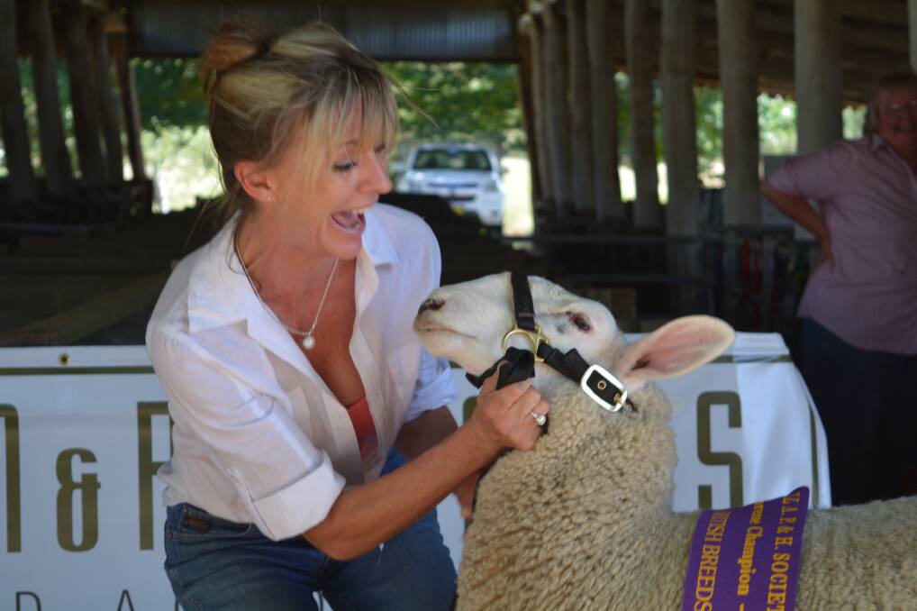 Megan Apps has some fun with the supreme British Breeds exhibit of the show with an August 2016-drop Border Leicester ewe exhibited by Bedsy's Border stud, Bigga. 