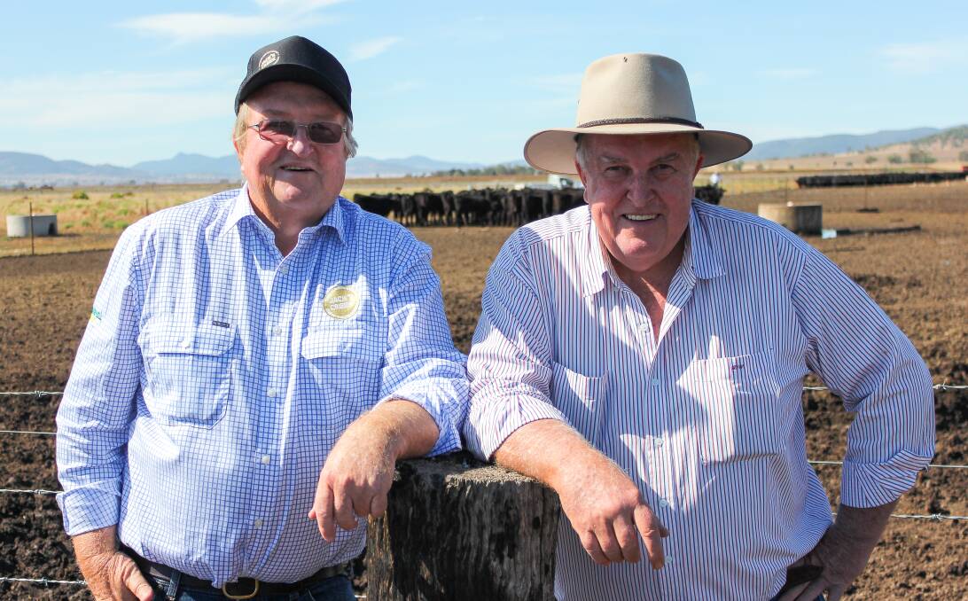  David and Phillip Warmoll, directors of Jack's Creek Angus at the company’s Breeza property, "Merrigal". They're exporting to more than 20 countries.