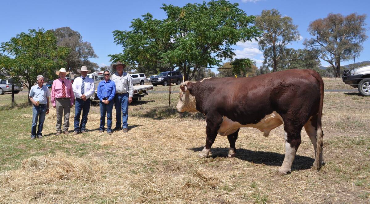 Glenellerslie principal Ross Smith with agent Chris Annetts, Elders Tumut, Michael Glasser, Glassers Total Sales Management, and purchasers of $10,000 top price bull Gordon and Jess Moon, Black Mountain, Victoria.
