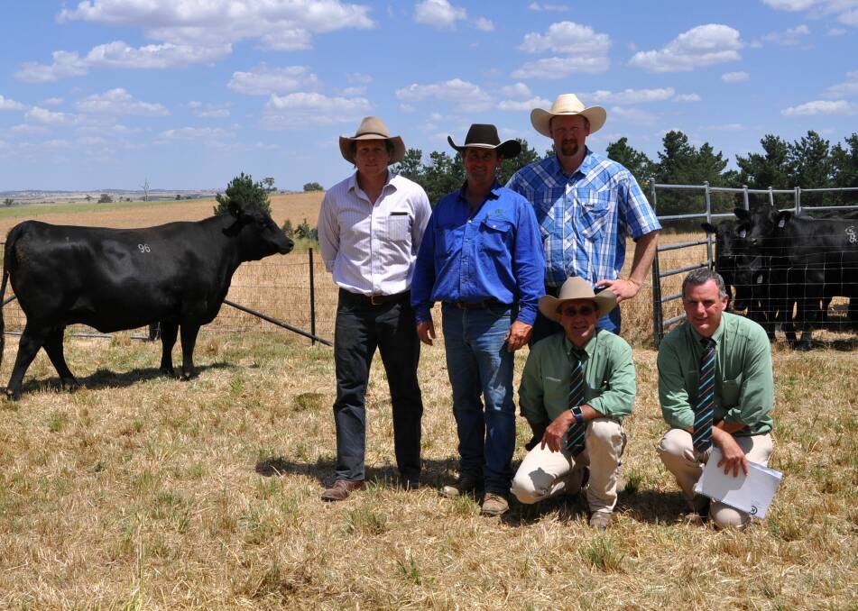 Kennys Creek’s Sam Burton Taylor, and Adam Withers, with purchaser of the top-price female Tim Lord, KO Angus stud, Kangaloon, and Landmark auctioneers Andrew Wishart, and Peter Godbolt.