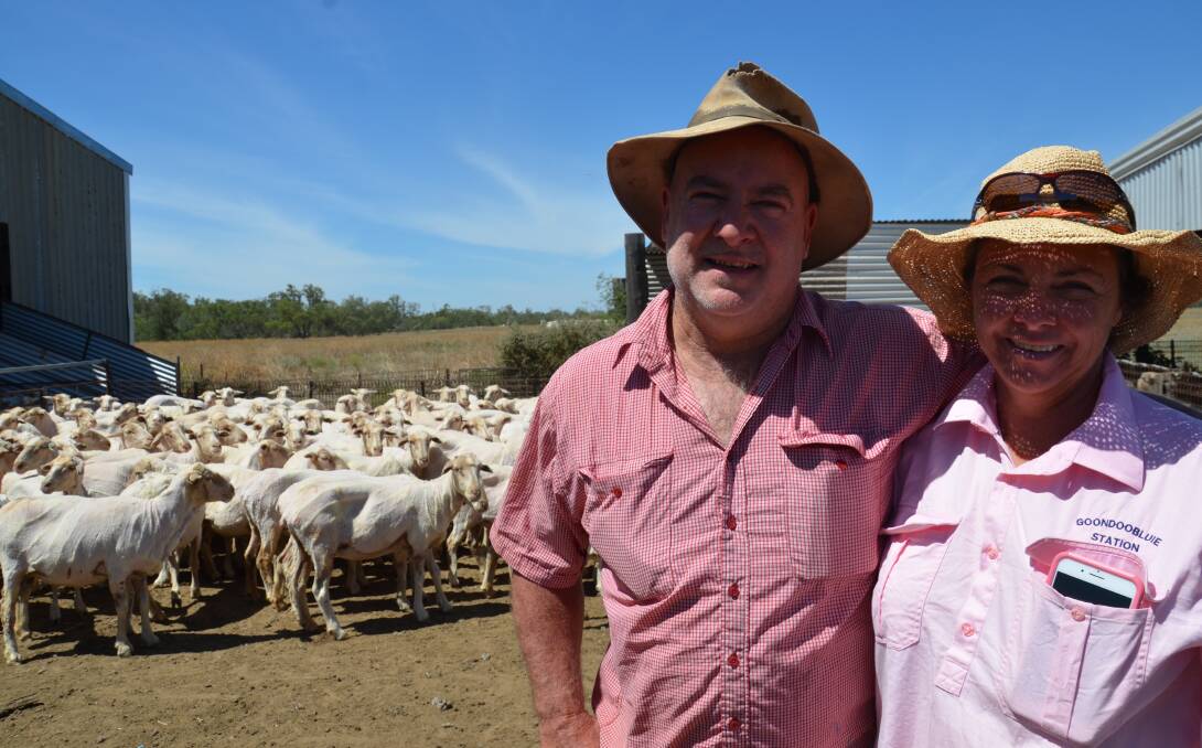 Shan Murphy and his wife Andy, run about 7500 Merino ewes at “Goondoobluie”, Mungindi. With an evolving sheep market, they've been concentrating on breeding a dual-purpose flock.