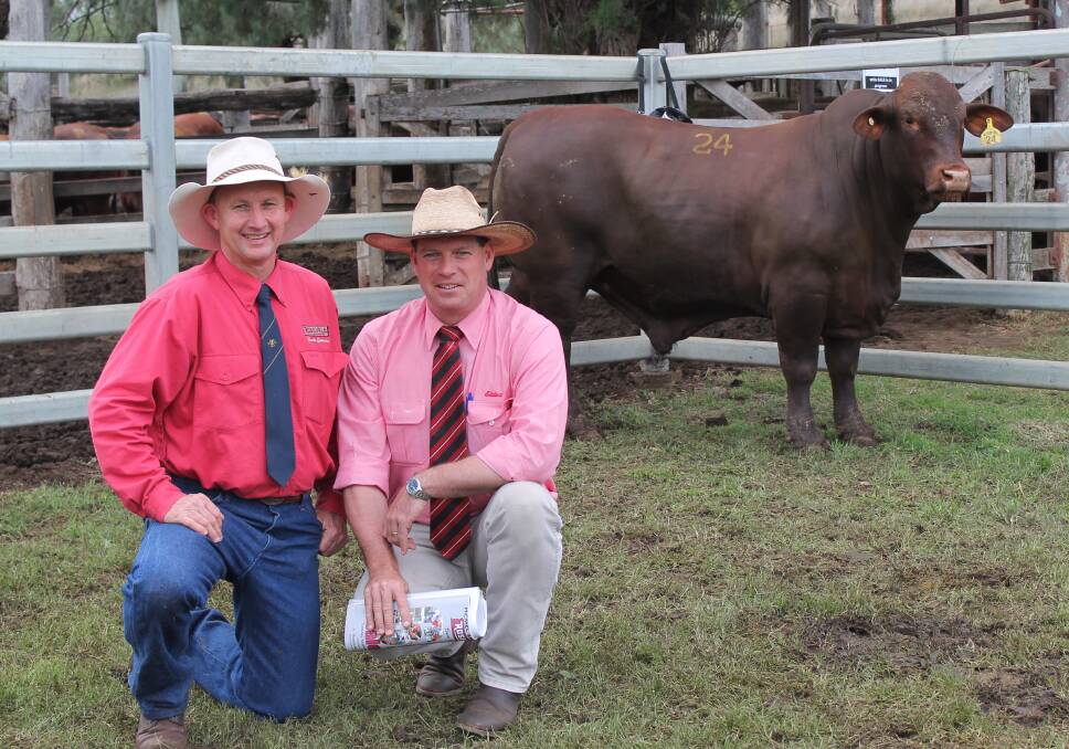 David Greenup, Rosevale Santa Gertrudis stud, and Elders auctioneer Michael Smith with the $40,000 bull.