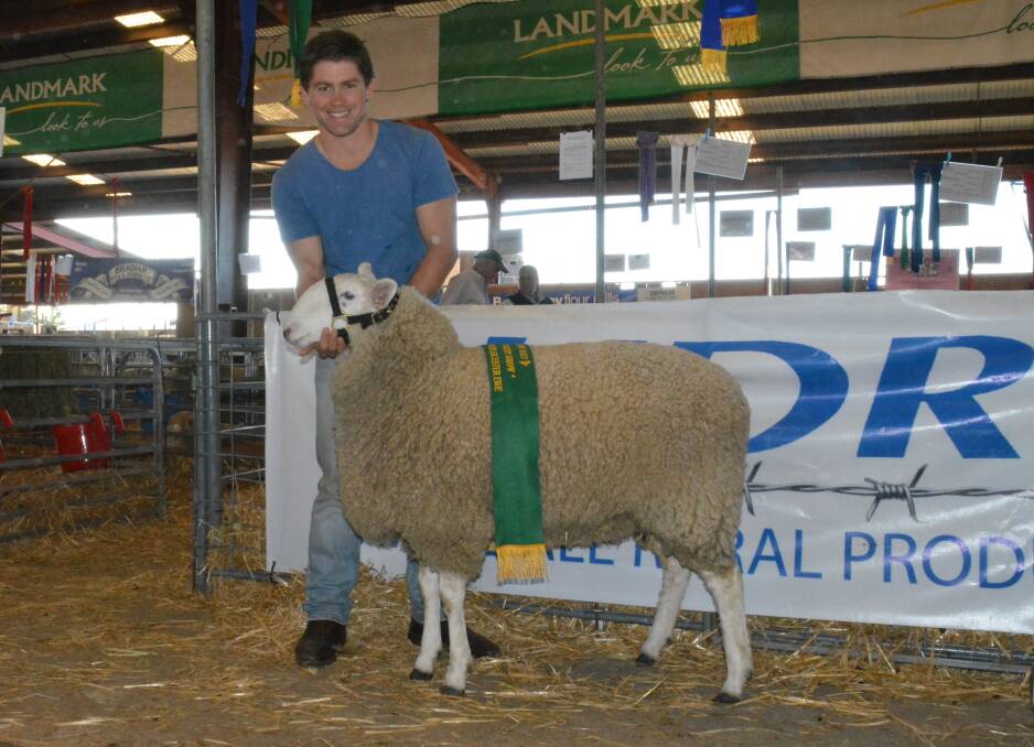 First time to the Hillside Rural NSW Sheep Show, Ben Picker, Bedsy stud, Bigga, won first in the novice class and then reserve junior champ Border Leicester ewe. 