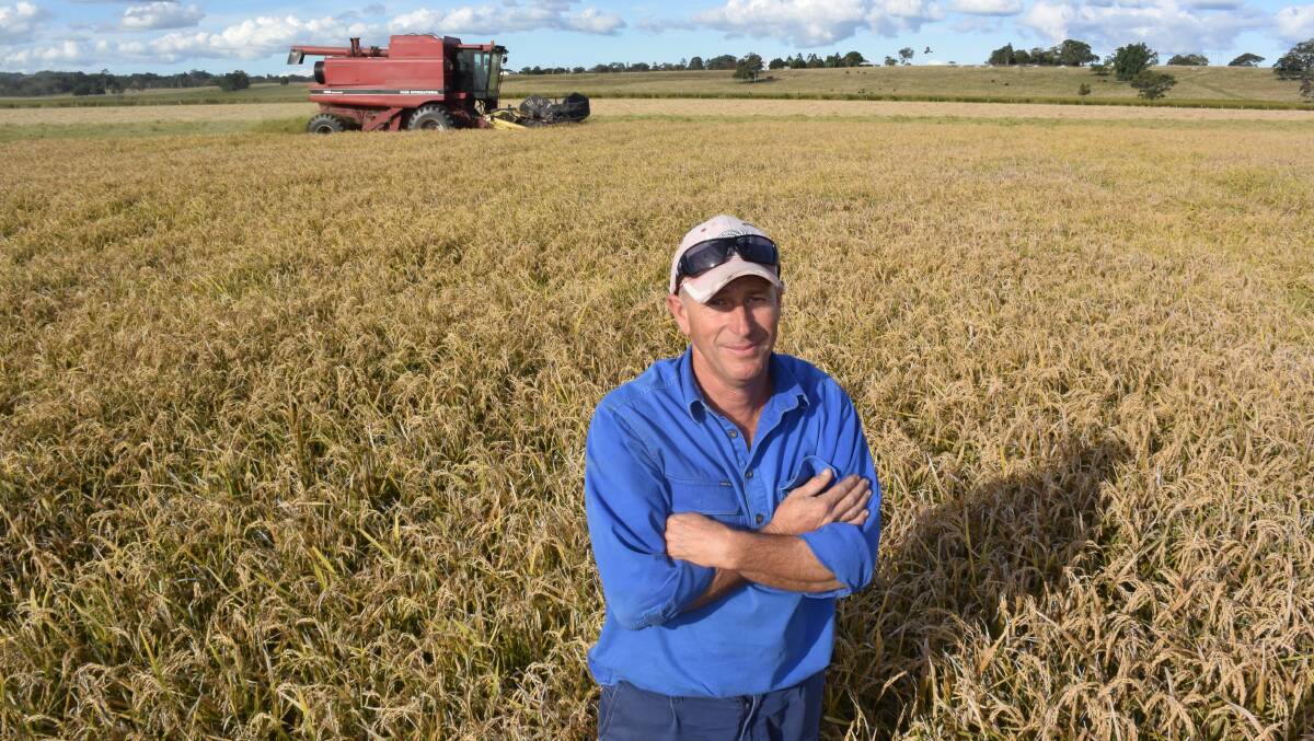 Ron Du Frocq, Clovass via Casino, in a paddock of Tachiminori rice harvested between rain events in what was one of the most challenging of summer seasons. Kyogle contract harvester Karlton Kook drives the header.