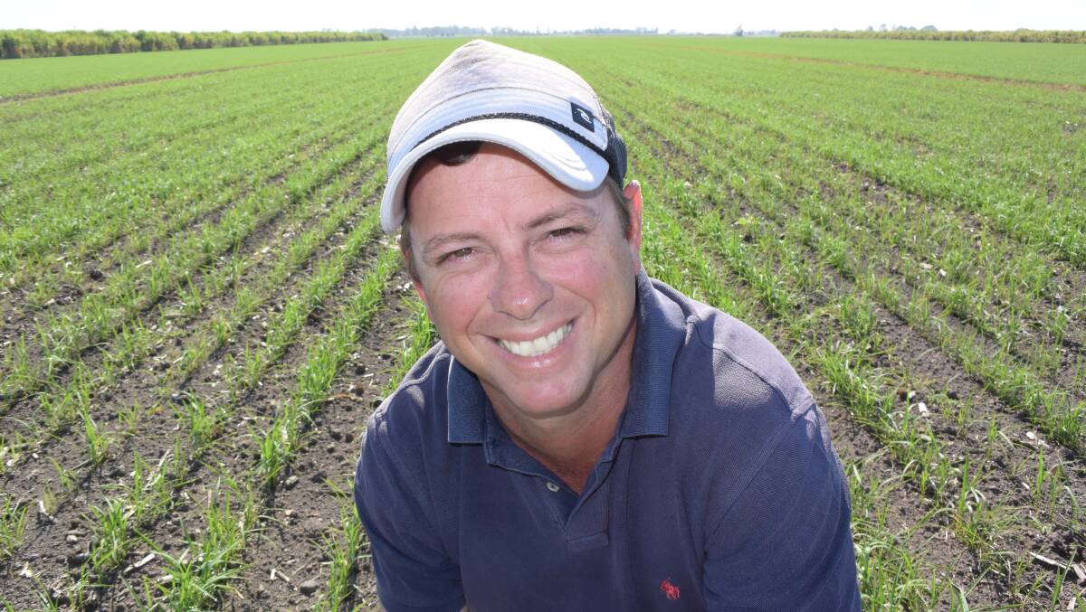 North coast rice consultant Steve Rogers sees big opportunity in dryland varieties provided the district is allowed to market independently.