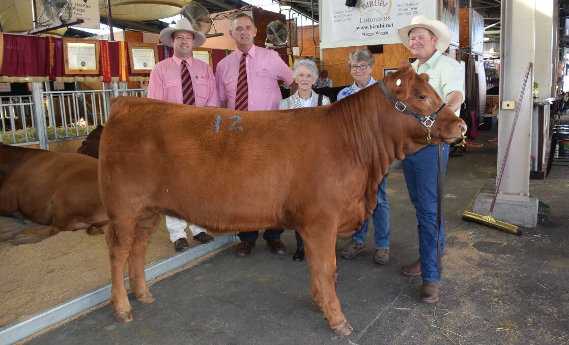Josh Crosby, elders Dubbo with auctioneer Andy McGeoch, Elders Orange with the top prices Limousine at Saturday's Sydney sale, Birubi Mistress M56 bred by Annette Tynan and sold to Mary Parsons for $7000.
