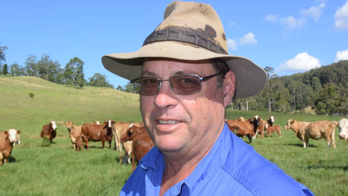 Bruce Jorgensen,Mallanganee, with Simmental cross bred cows that produce a high yielding calf for a variety of markets, from grain to grass.