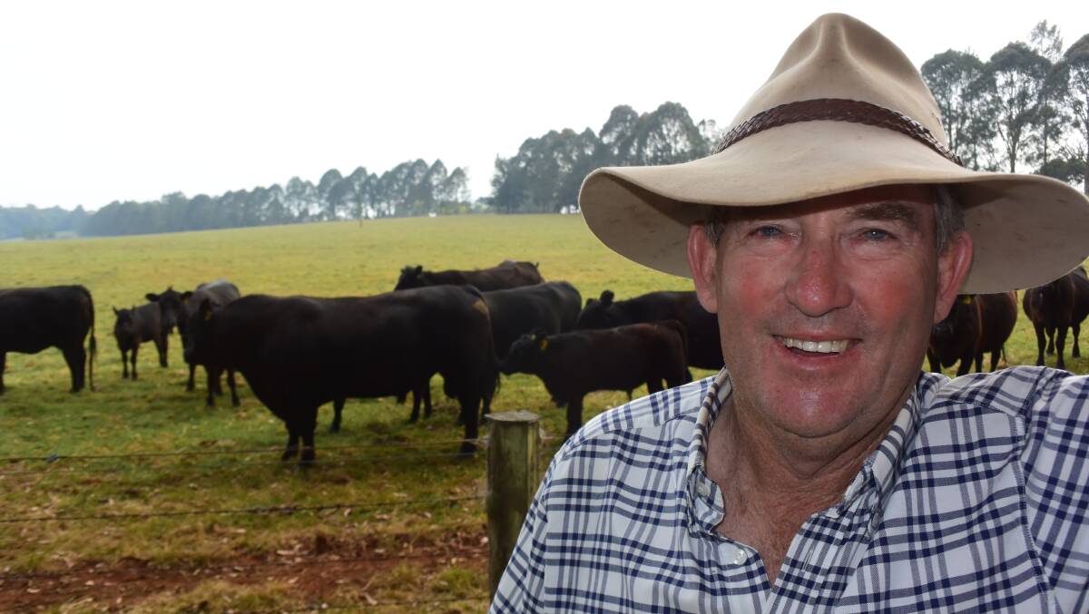 Greg Bailey, Dorrigo Mountain, believes Angus is the best foundation from which to breed a commercial herd. And he relies on Angus do-ability to make the most of pasture that in a normal season is as green as Ireland.