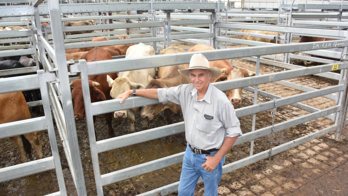 Ron Frame, Copmanhurst, sold this pen of six-tooth Charolais/ Brahman cross steers for 260c/kg or $1418, to Mark and Paul Carlton, Ulmarra.