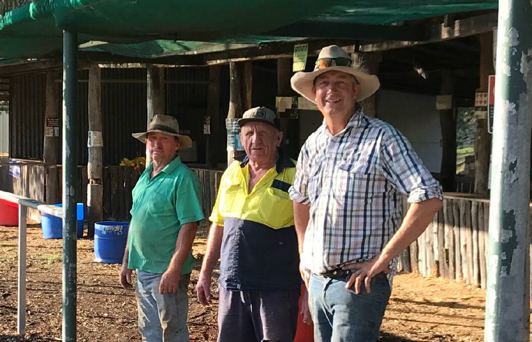 Rodney Hartigan, Wilgabar, Morry Taylor and Martin Gostelow, Springpark Station, prepare for Friday night's social event of the year at Wallabadah racecourse.