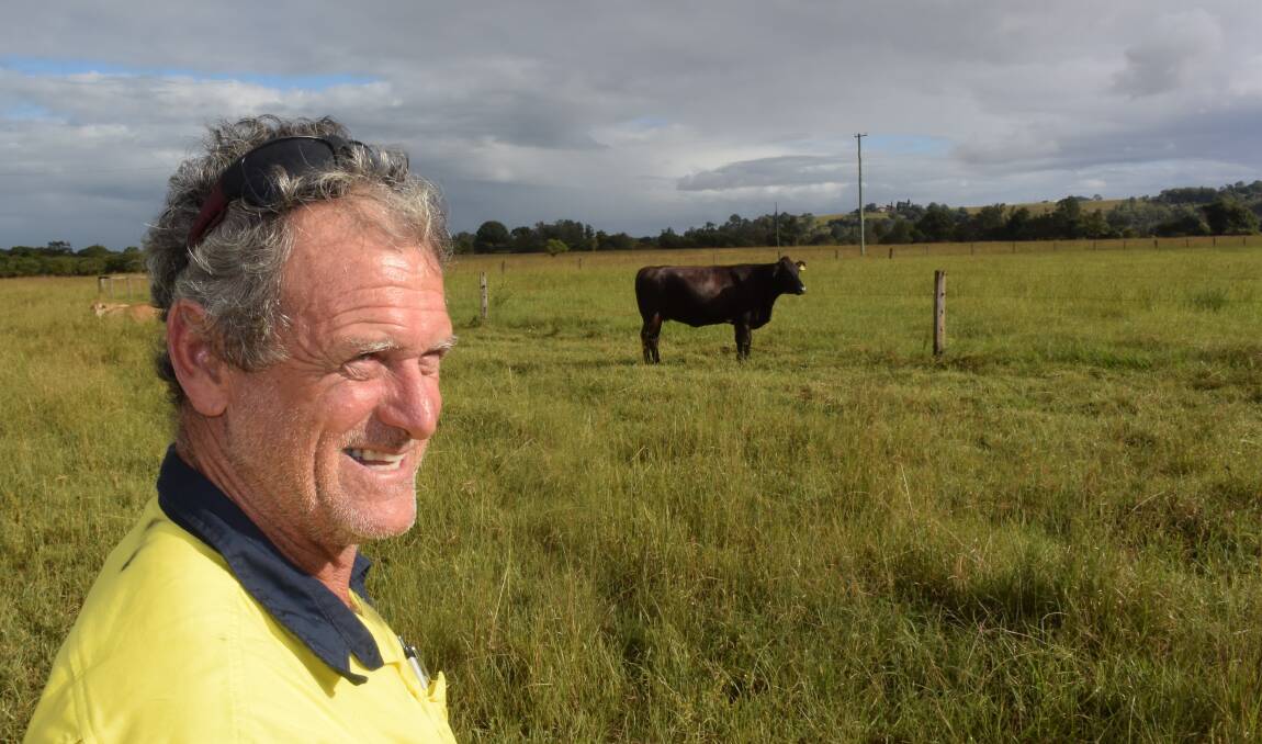 Tony Ivey and the stunning river swimmer Debbie, a credit to the Brahman cross breed, almost back to normal at South Gundurimba. The 'mud fat' cow spent 36 hours travelling 70km to Pimlico before crawling to high ground.