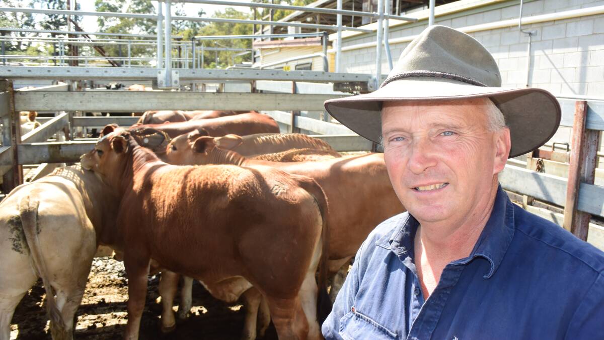 Allan Morgan, Braunstone, sold eight month old steers, Droughtmaster over Charolais/Brahman, for $987 at 293c/kg for 336kg.