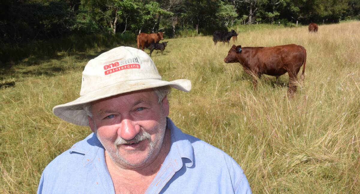 Andy Jung, Yarras, in the Hastings Valley uses a Bonsmara bull over his criss cross breeders to produce marketable weaners with early growth. They’re easy calving, easy doing and hit the ground running,” he says.