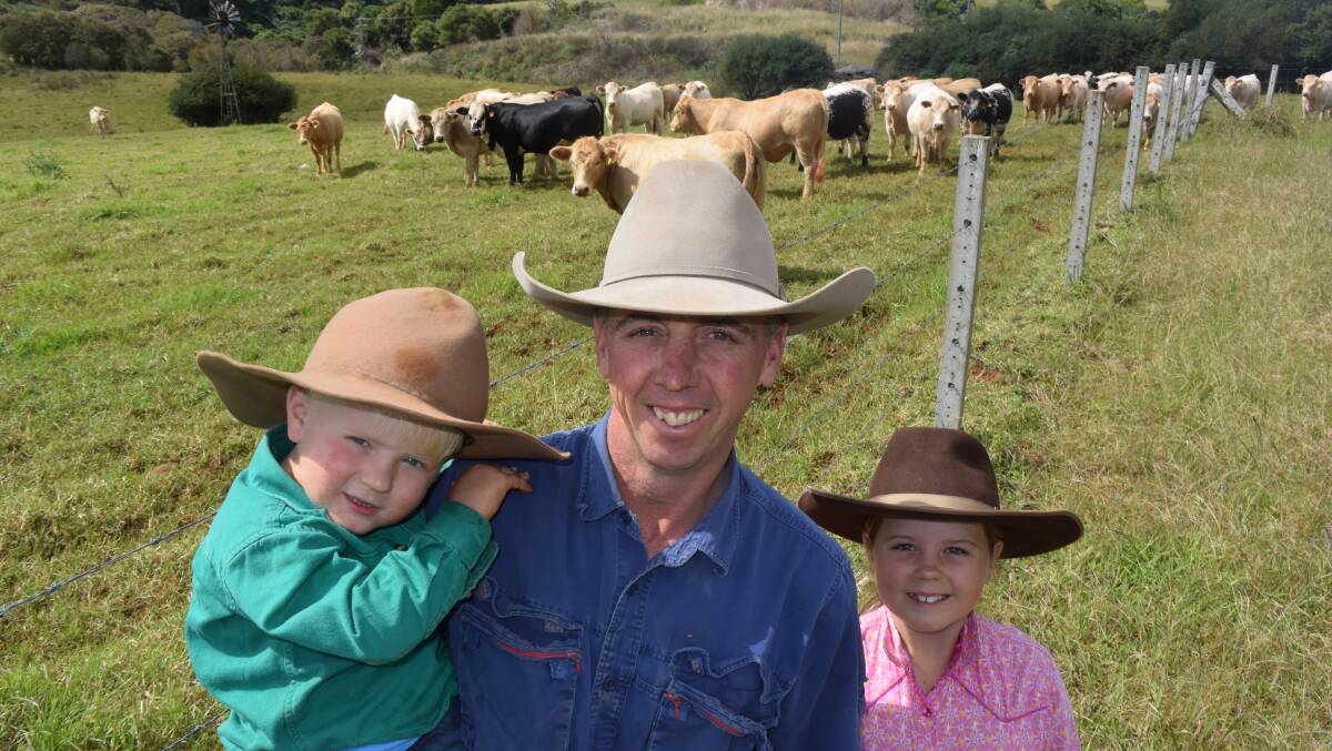 Tom, Scott and Elle Beaumont, Dorrigo, with heifers out of Charolais by Speckle, Charolais and Droughtmaster bulls. Calves go through the family's feedlot.