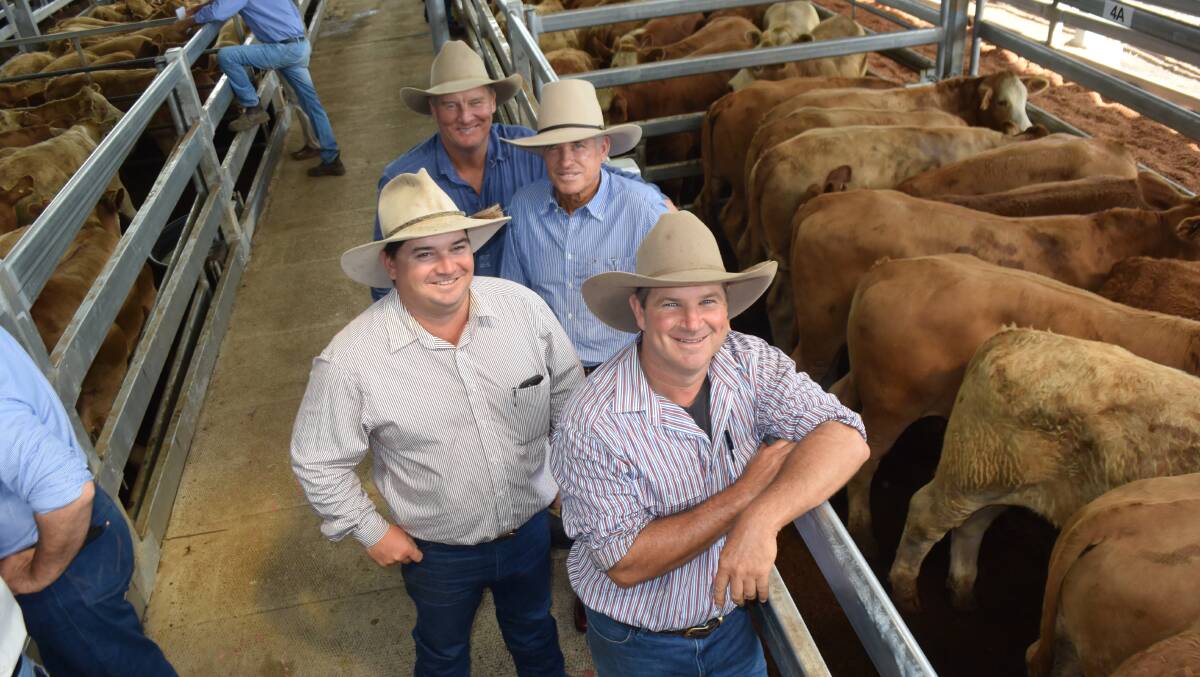 The Fuhrmann family, Mummulgum, sold steers to an average of 307kg at 344c/kg topping at $1275 for a pen of Charolais cross steers out of Santa Gertrudis/ Hereford cows, sold to Noel and Liz Cook, Kindon Station to be groomed as prime show steers for the Brisbane Royal Show. Pictured Blair Flynn, manager Peter Leadbeatter, Paul Fuhrmann and Wayne Cooke.