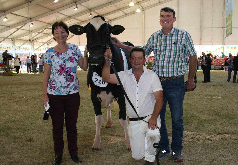Interbreed dairy champion for the second year in a row, Avonlea Fever Suzette-ET, led by exhibitor Justin Walsh and flanked his mum Sue and dad Col.