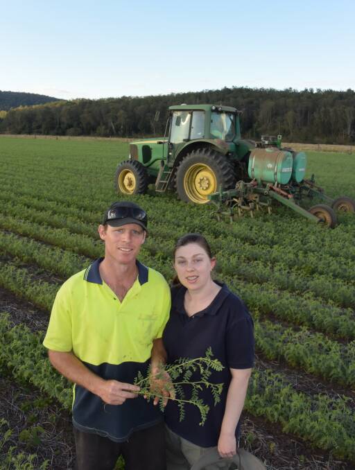 Kendall and Kate Dowley make a formidable team on alluvial soils of the Upper Clarence at Tabulam where they look forward to chickpea yields in the order of 2.5 to 3t/ha.