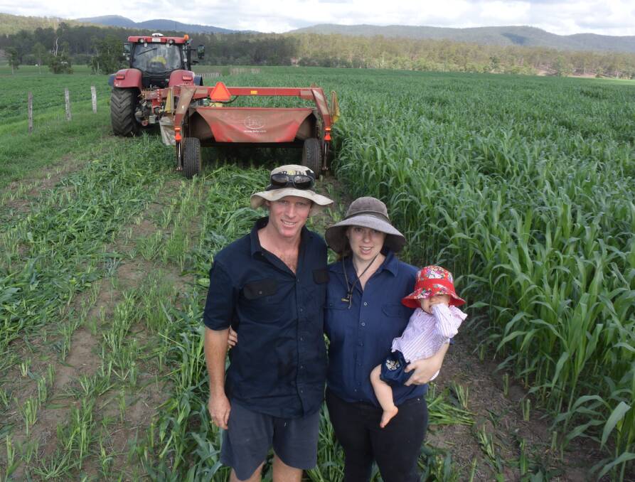 Kendall, Kate and Evelyn Dowley, Growvale Park, with forage sorghum on its first cut 31 days after their first substantial storm rain. More good falls are forecast on the coast this week.