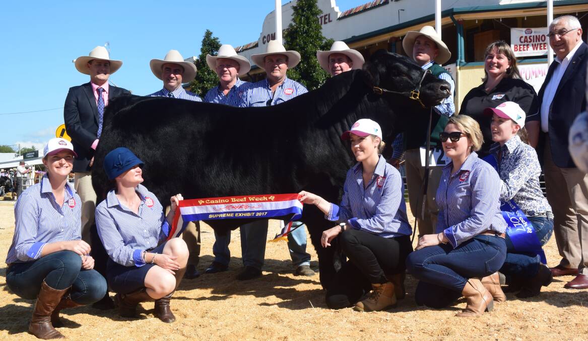 Rising two year old Flemington Like A Cat L22 surrounded by Casino Beef Week committee with judge Tom Baker, SA, awarding him supreme beef exhibit, handled by James Dockrill, next to exhibitor Kate Gelderman Berdihold Limousins, Lochinvar, with sponsor and member for Lismore Thomas George.