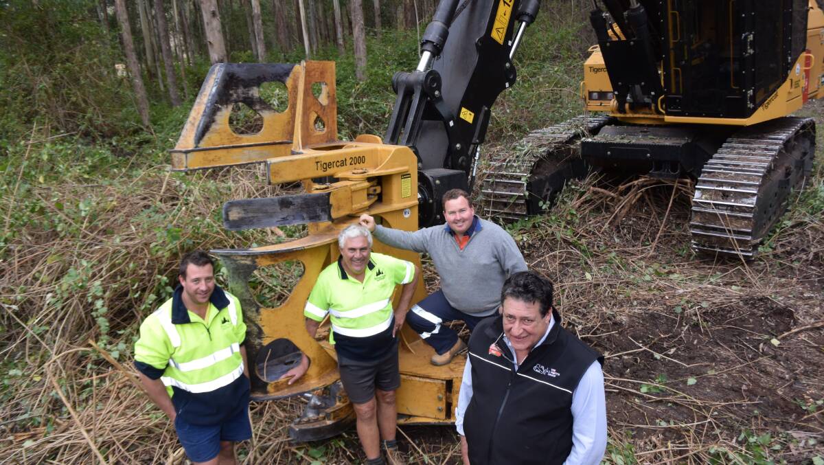 Timber getters Allan and Bruce Hoffman, originally Killarney; ground crew boss Mike Smith, Woodenbong, and Dyraaba Station's David  Scarrabelotti at the cutting edge of new beef country near Casino, part of a region-wide return to beef from failed private investment plantation forestry.