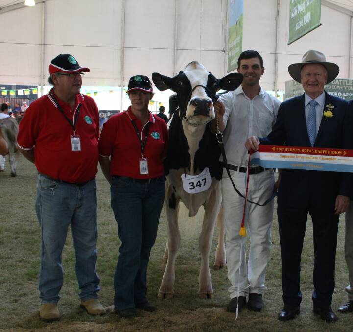 Intermediate champion Murribrook Atwood Ivy led by Cameron Yarnold with exhibitors Murray Sowter and Sarah Potter, with RAS president Robert Ryan.