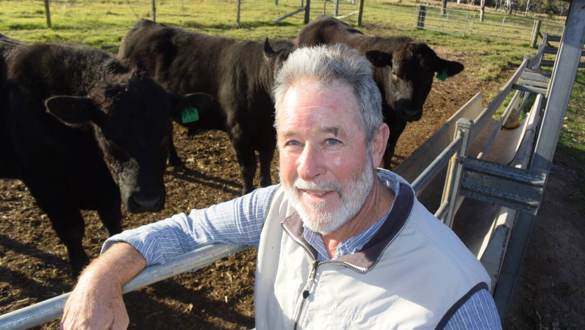 Ed Lahey, 'Dungay Park', Dongdingalong via Kempsey is progressing towards organic production of larger framed Angus using Millah Murrah and Banquet bloodlines.