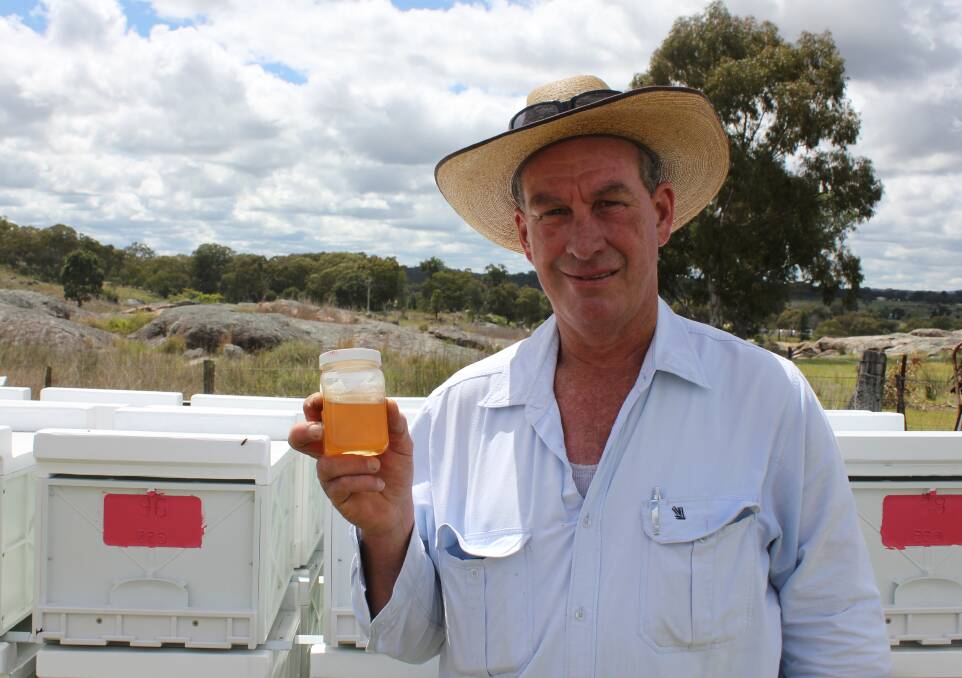 Casey Cooper, Tingha, is a second generation beekeeper with sound ideas for future management.