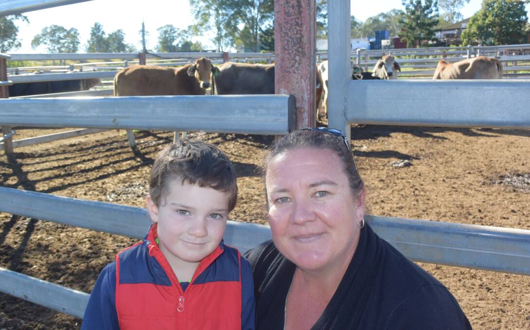 Will Cootes and his auntie Renae Thompson, Swan Creek, purchased a pen of Brahman cross steers from Graham and Robyn MacDougal, Glen Elgin, for $779 paying 298c/kg at 261kg. Renae and her husband Don will grow them out to four to five year old bullocks for the export market.