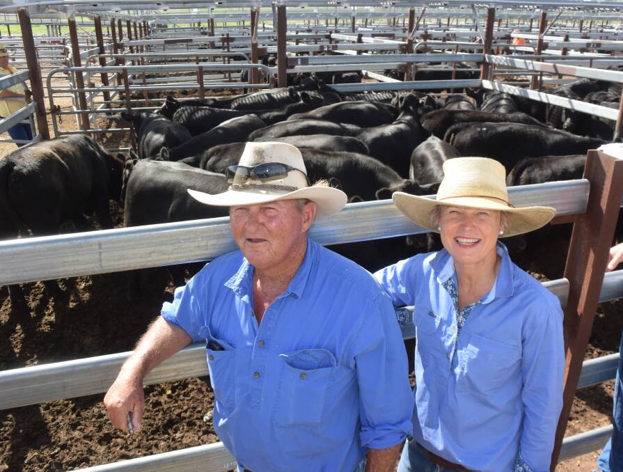 Knockdon Park manager Paul McFarlane, with Nicki Lewis, and a pen of Angus, 323kg that sold for 510c/kg or $1651 at Tenterfield on Thursday.