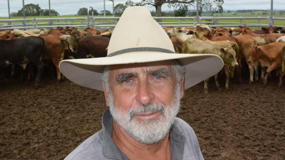 Beef consultant Bill Hoffman, with yarded F1 steers on his leased country at Backmede, via Casino. Taking shortcuts with weaners now won't build a future reputation.