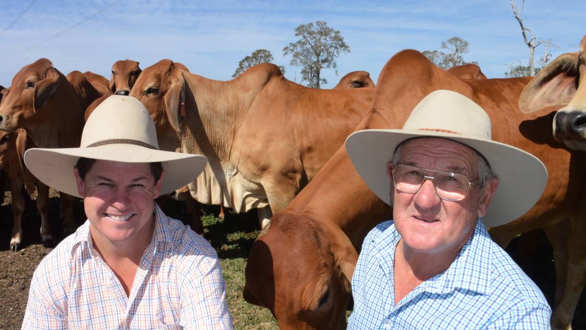 Colin and Max Johnson, ‘Jomanda’, Clarenza via Grafton on the Clarence, have invested in gene technology to help breed better Brahmans. But selection, by eye, on phenotype is a skill that will remain important well into the future.